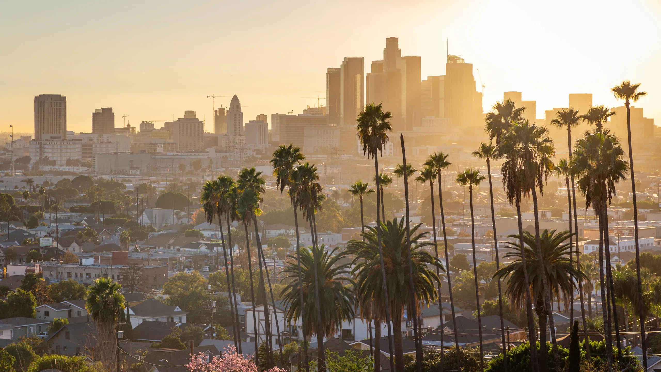 Los Angeles city image